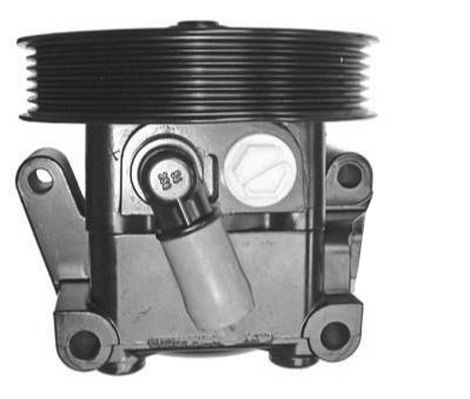 GENERAL RICAMBI Гидравлический насос, рулевое управление PI1143